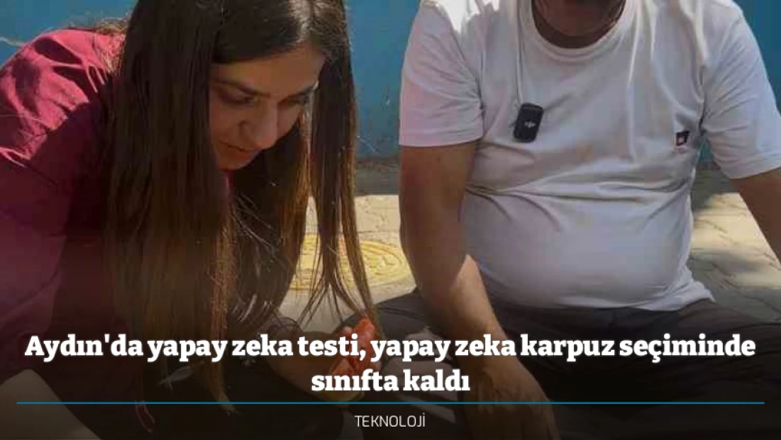 Aydın'da yapay zeka testi, yapay zeka karpuz seçiminde sınıfta kaldı