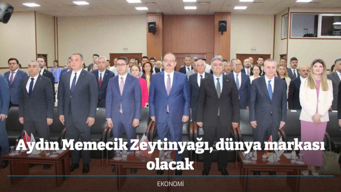 Aydın Memecik Zeytinyağı, dünya markası olacak