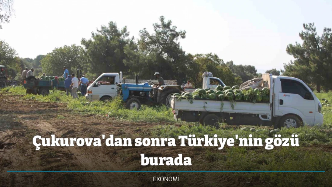 Çukurova'dan sonra Türkiye'nin gözü burada