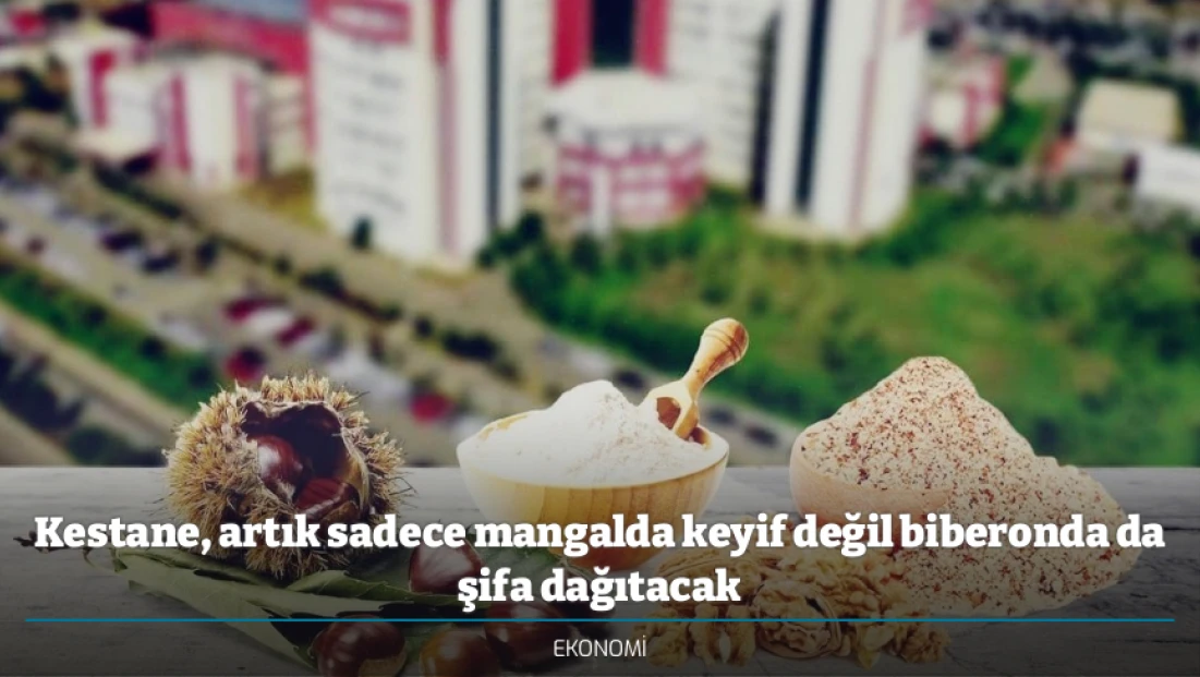 Kestane, artık sadece mangalda keyif değil biberonda da şifa dağıtacak