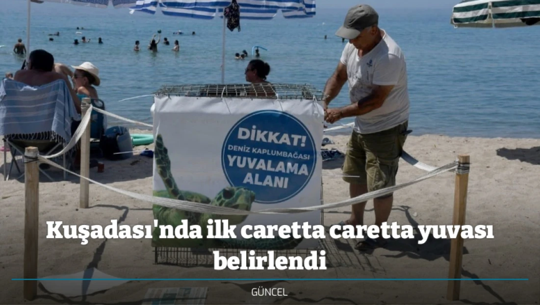 Kuşadası'nda ilk caretta caretta yuvası belirlendi