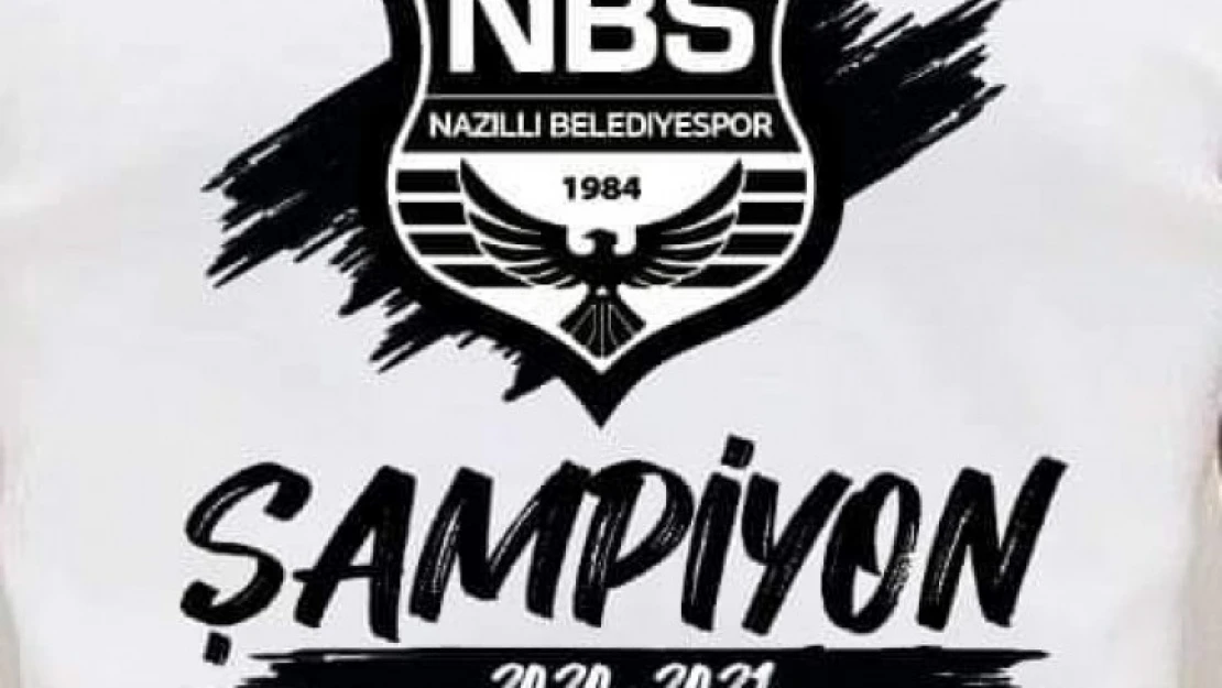 2. Lig'in başlama tarihi belli oldu