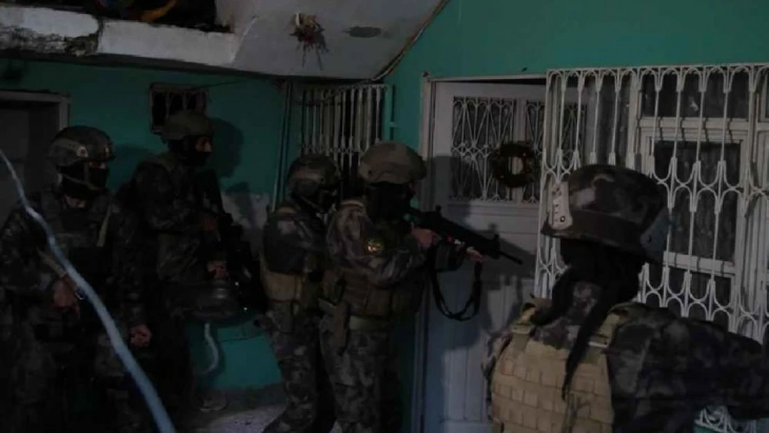 Aydın'da mafya operasyonu