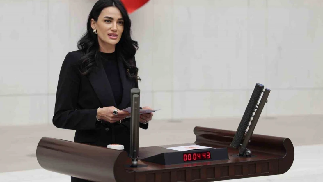 AK Parti Aydın Milletvekili Sarıbaş Başarıyı gölgeleyemezsiniz, kronik önyargılarınızdan kurtulun