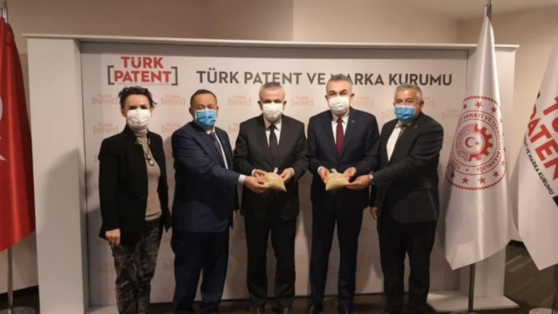 AK Partili Savaş destek oldu, çam fıstığı coğrafi işaret alıyor