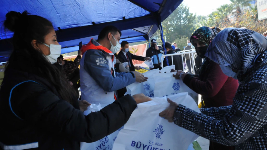 Aydın Büyükşehir, 100 bin kışlık fide dağıttı