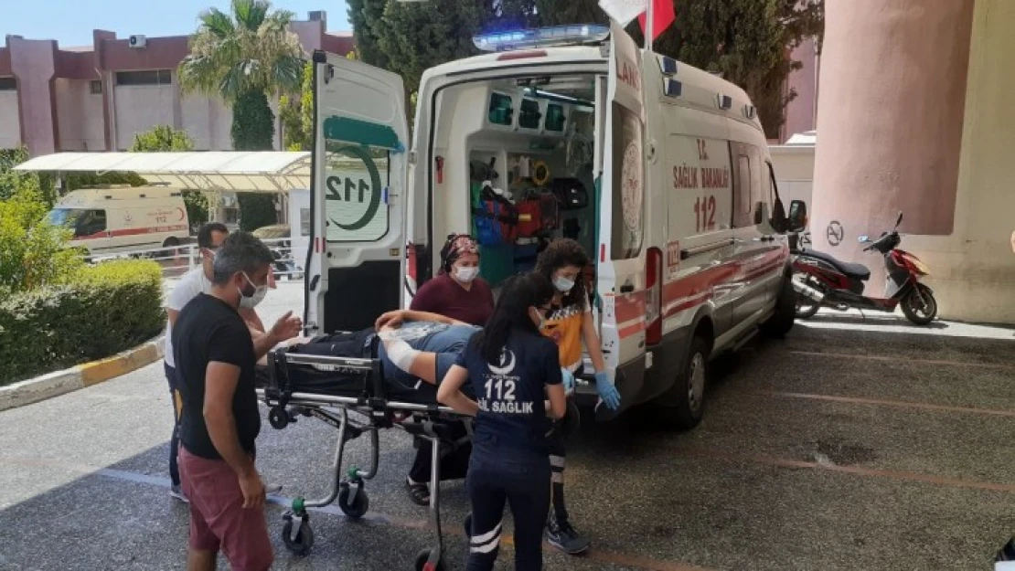 Aydın'da acemi kasaplar, iş başında