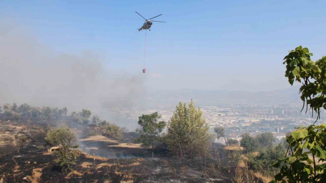 Aydın'da çıkan yangın üniversite kampüs alanına doğru ilerliyor