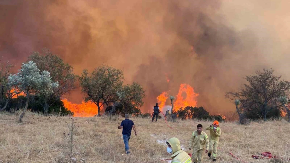 Aydın'da hafta sonu 11 yangın çıktı