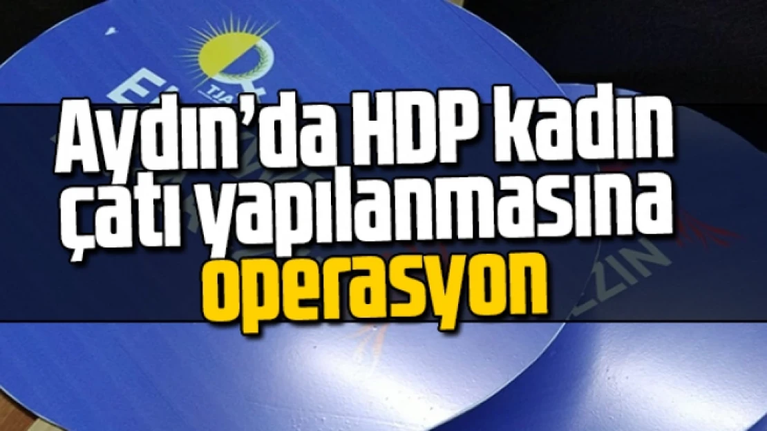 Aydın'da HDP kadın çatı yapılanmasına operasyon