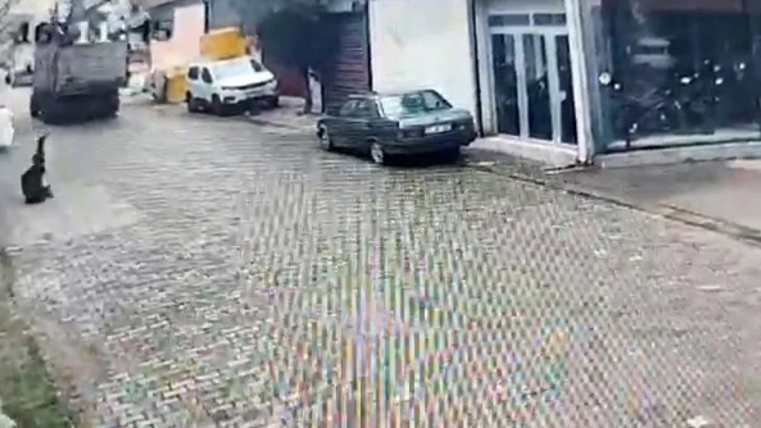 Aydın'da ilginç kaza