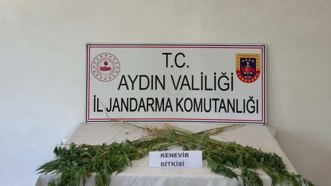 Aydın'da jandarma ekipleri uyuşturucuya geçit vermiyor