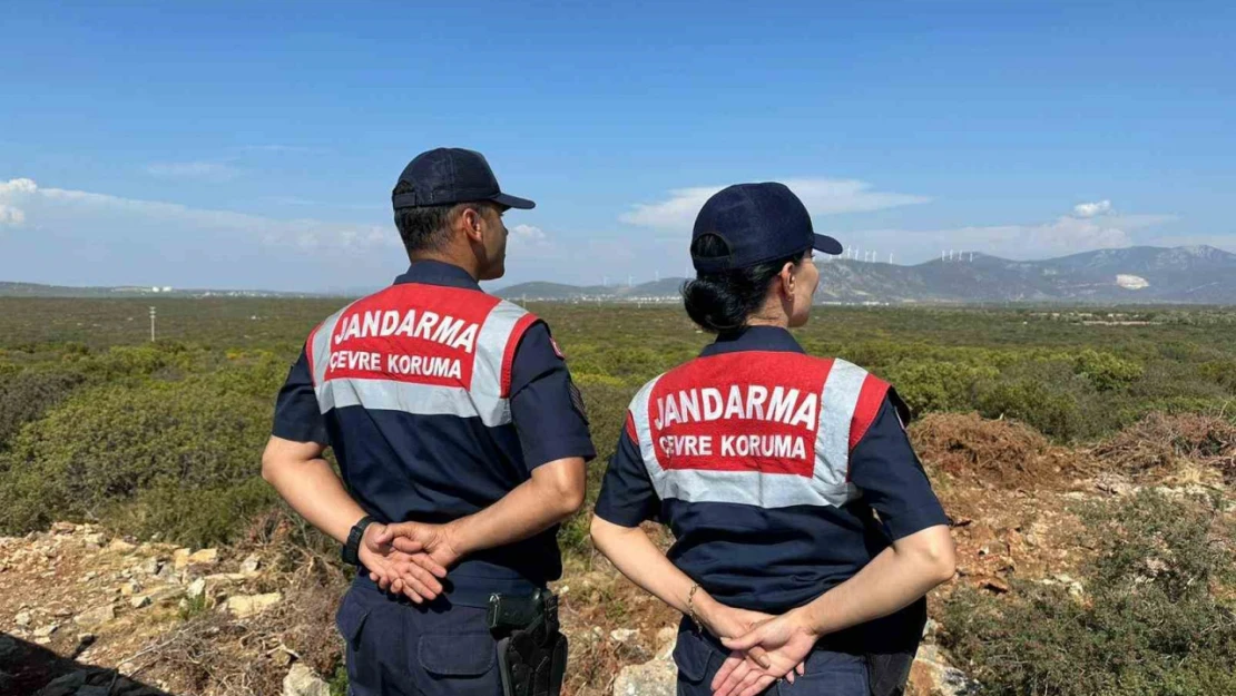 Aydın'da jandarma ekiplerinden Bafa Gölü'ndeki kuş ve balık türlerini korumak için yoğun denetim