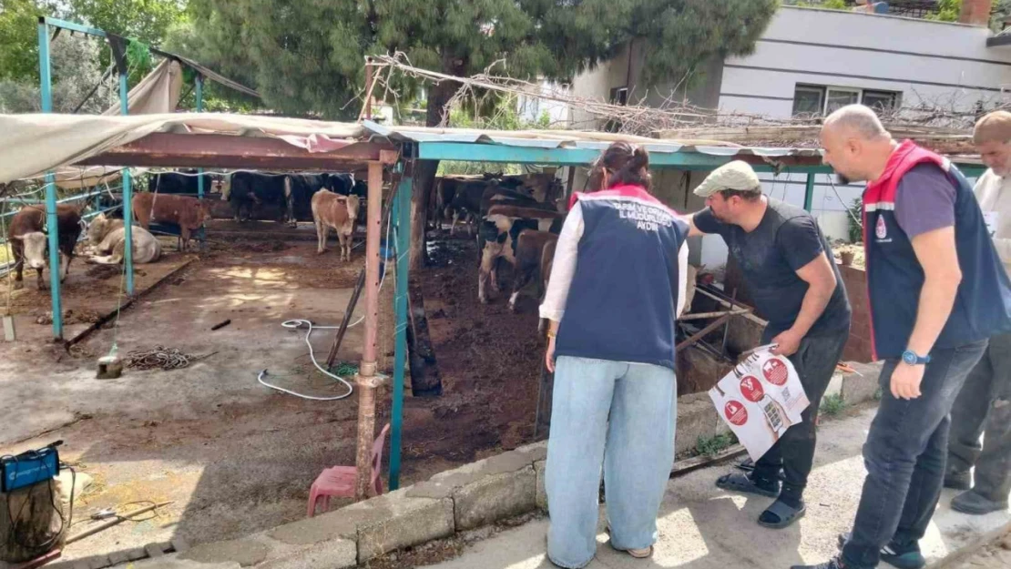 Aydın'da kurban satış ve kesim yerleri denetlendi