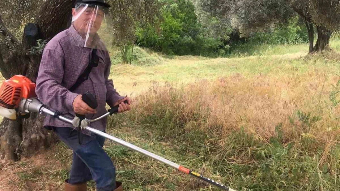 Aydın'da kuru otlar temizleniyor