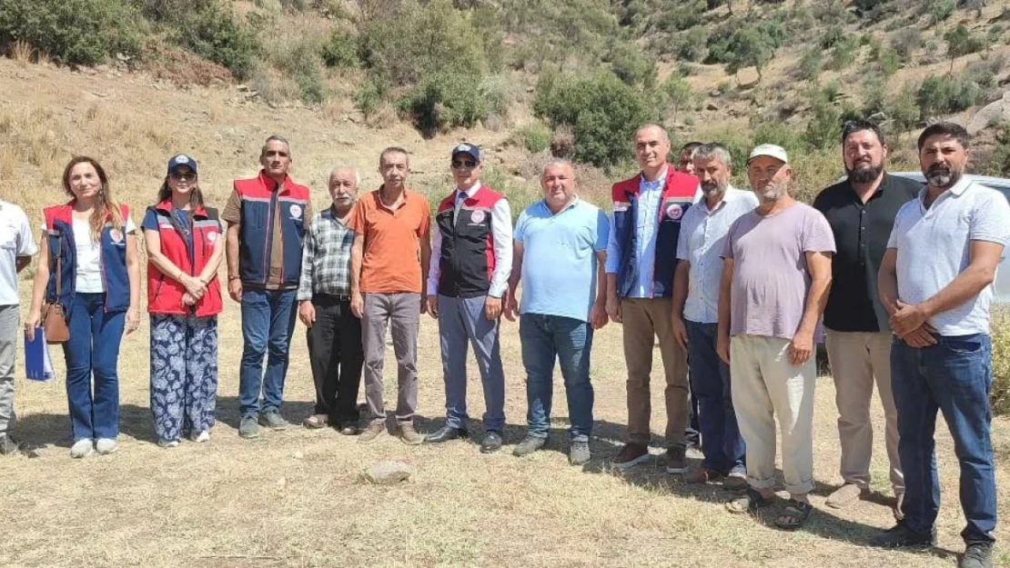 Aydın'da mera ıslah projeleri sürüyor