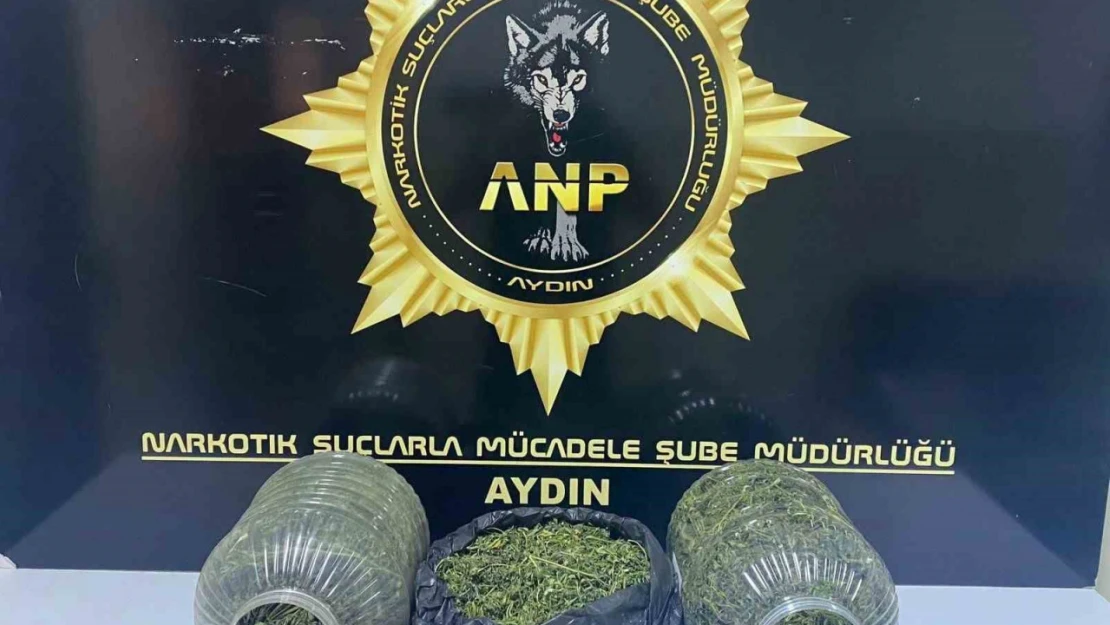 Aydın'da narkotik polisi uyuşturucuya geçit vermiyor