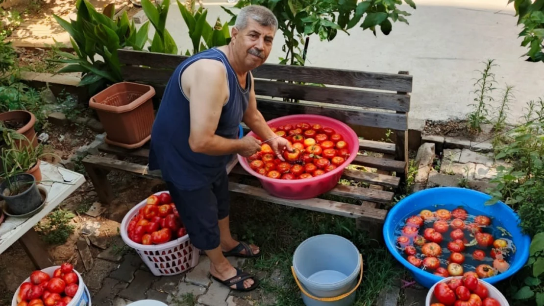 Aydın'da salça yapım telaşı başladı