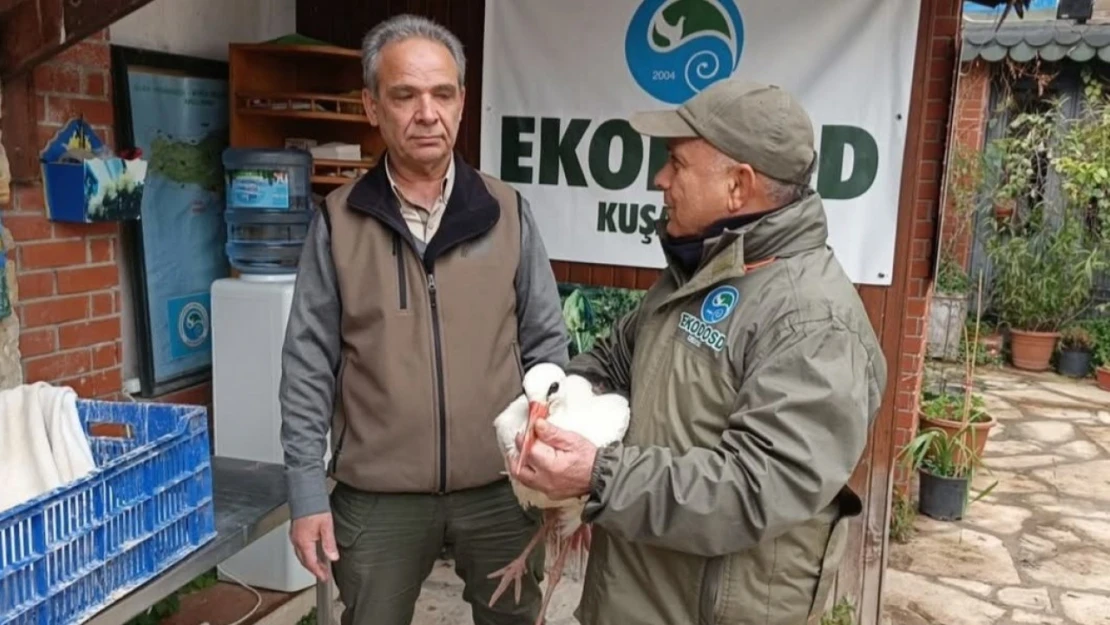 Aydın'da soğuktan etkilenen 'Garip' adlı leylek tedavi altına alındı