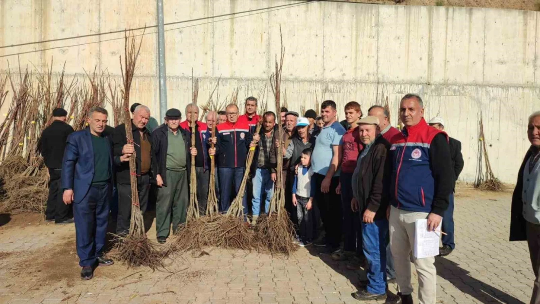 Aydın'da tarımsal üretime destek