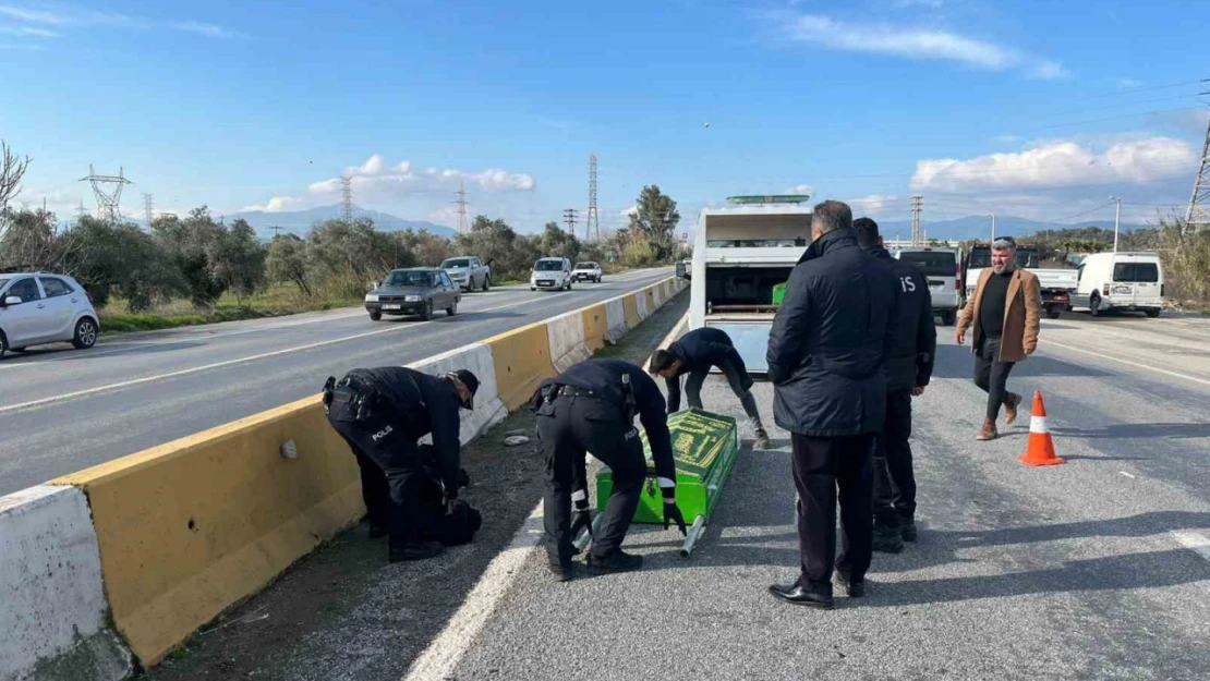 Aydın'da trafik kazası: 1 ölü