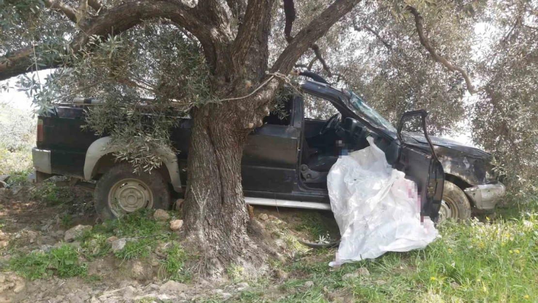 Aydın'da trafik kazası: 1 ölü