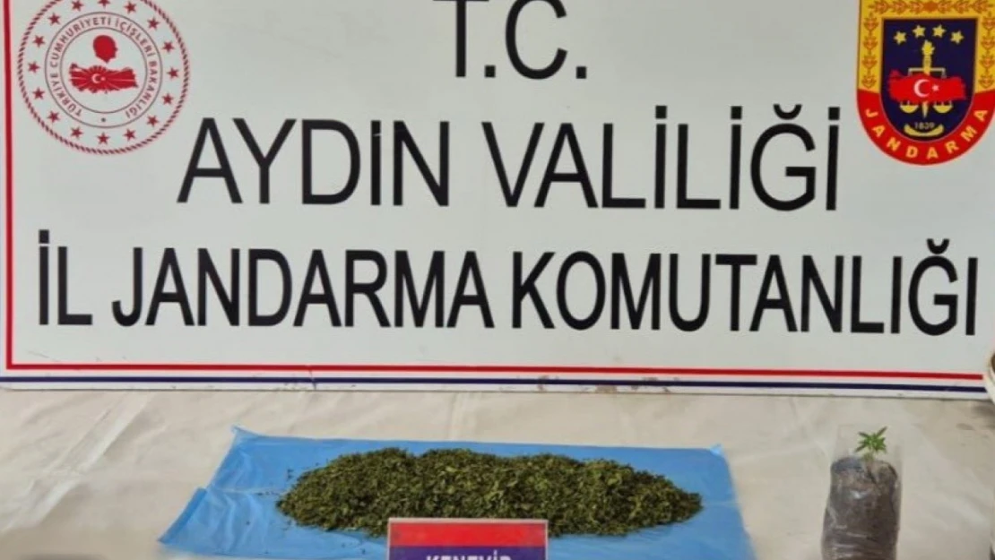 Aydın'da uyuşturucu operasyonu: 36 şüpheli yakalandı