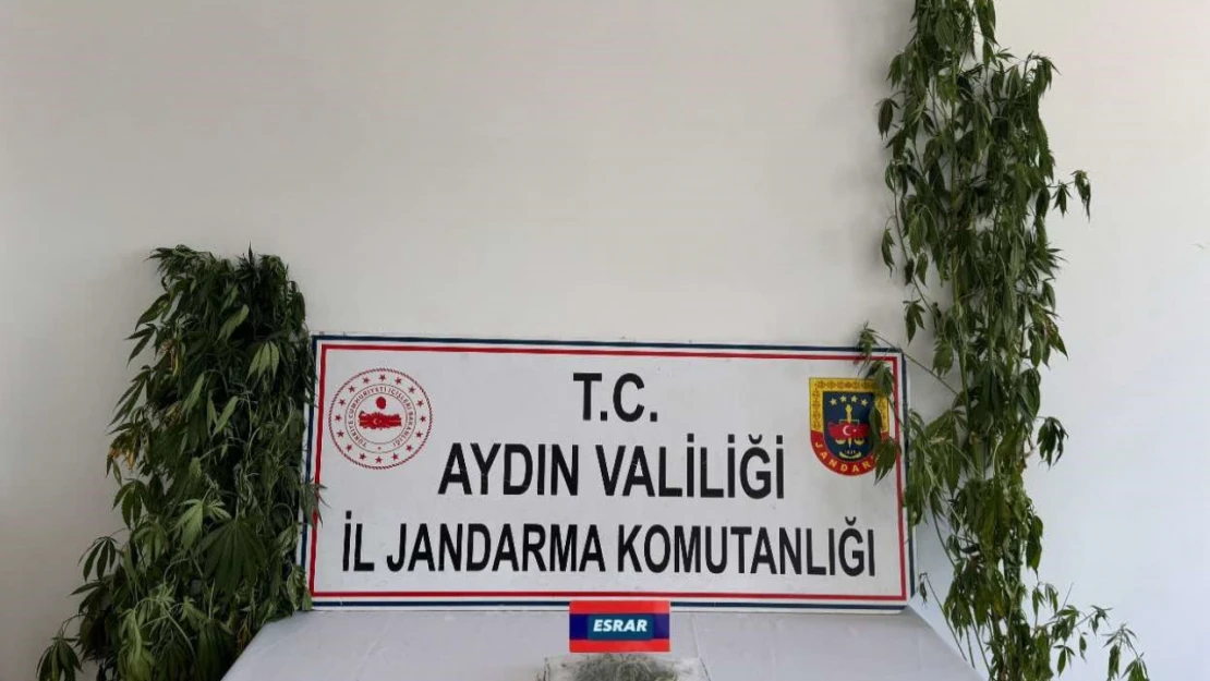 Aydın'da uyuşturucu operasyonu: 13 şüpheli yakalandı