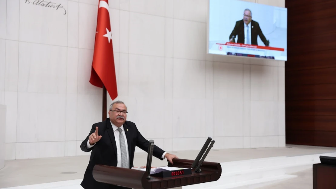 Aydın'da yaşanan doktor ve randevu sorunu Meclis'e taşındı