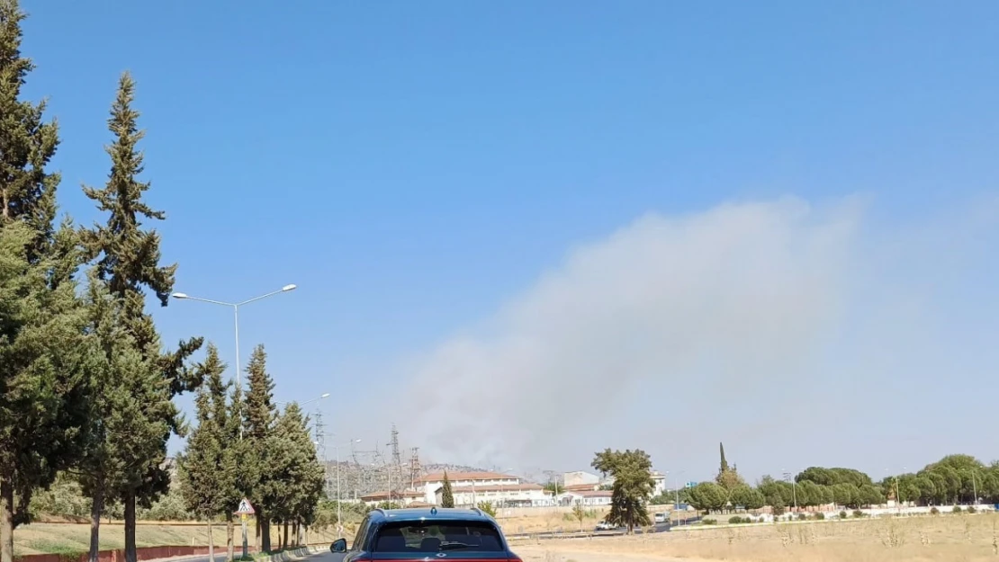 Aydın'da zirai alan yangını