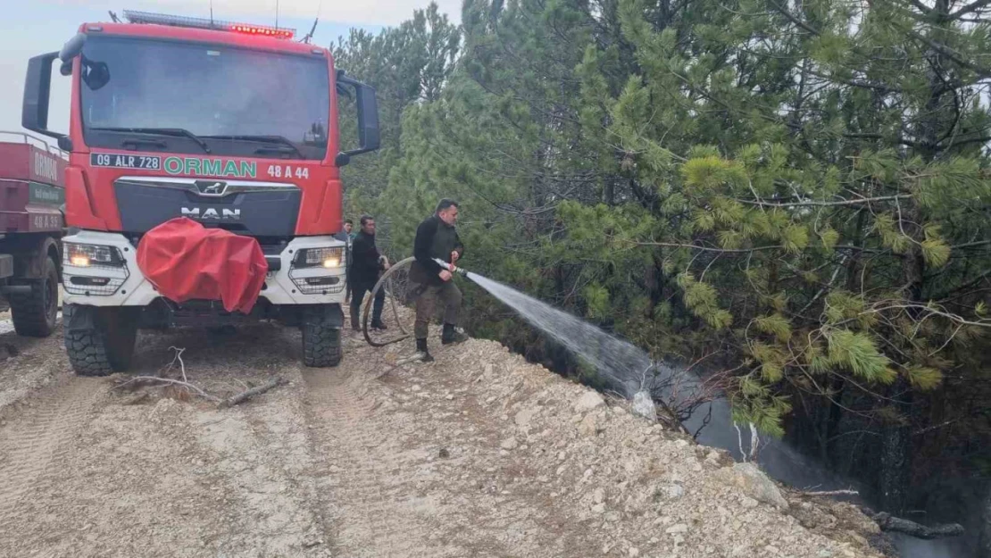 Aydın'daki orman yangını kontrol altına alındı