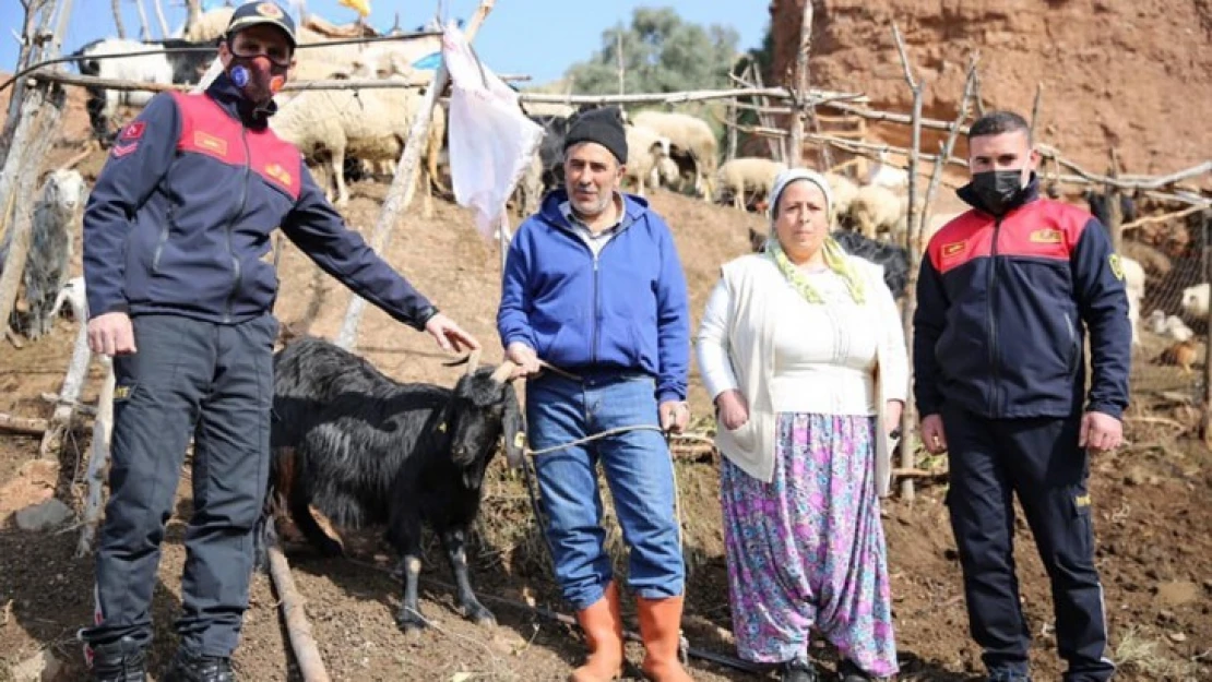 Aydın İtfaiyesi keçiden daha inatçı çıktı