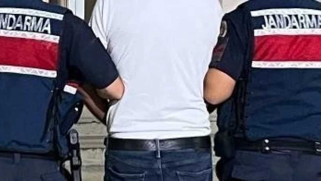 Aydın jandarması uyuşturucuya geçit vermiyor: 20 şüpheli yakalandı