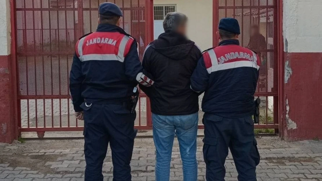 Aydın jandarmasından eş zamanlı operasyon: 38 şahıs yakalandı