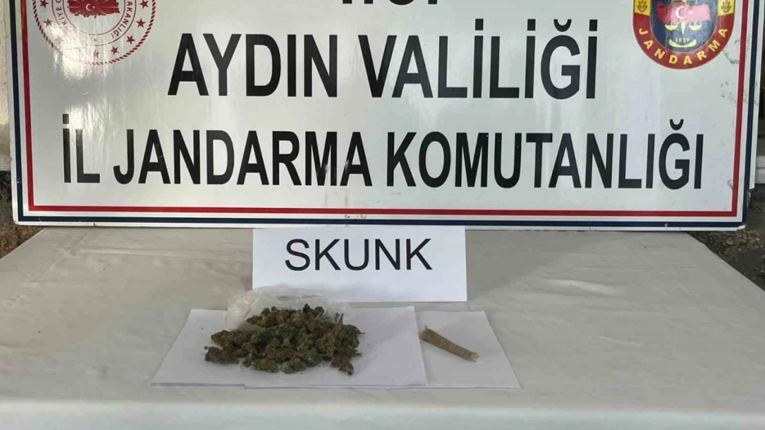 Aydın jandarmasından uyuşturucu operasyonu: 1 tutuklama