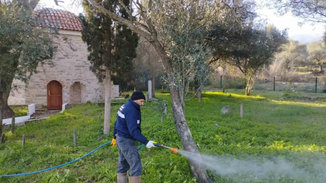 Aydınbey Türbesi bakıma alındı