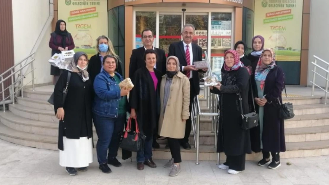 Aydınlı kadın çiftçiler, Trabzon hurması kurutacak