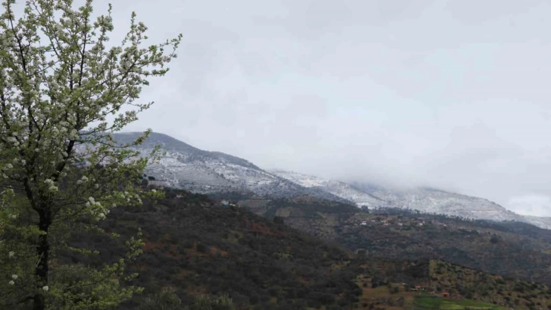 Aynı karede hem bahar, hem kış