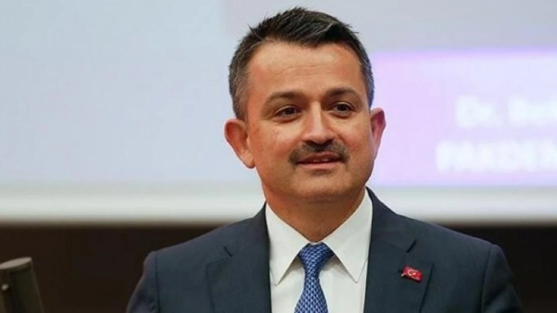 Bakan Pakdemirli Aydın'da barajları inceleyecek