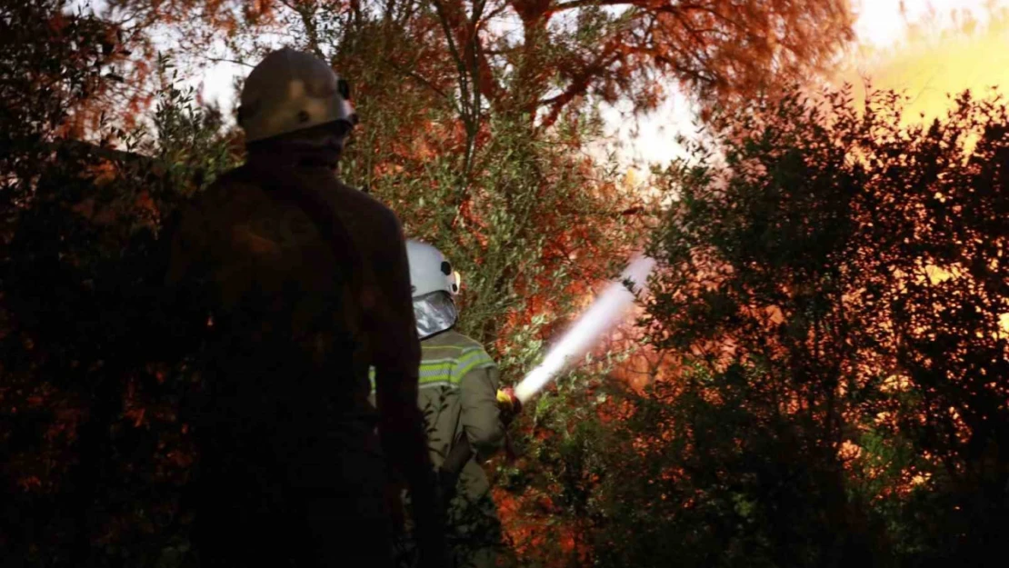 Bakan Yumaklı: 'Kuşadası'ndaki orman yangını kontrol altında'