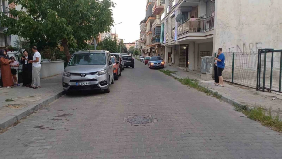 Balıkesir'deki deprem Aydın'da da hissedildi