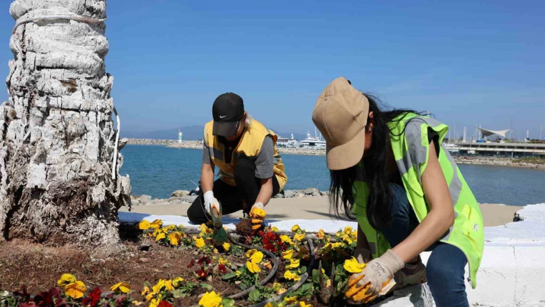 Başkan Çerçioğlu'ndan Aydın'ın turizm merkezlerinde çalışma başlattı