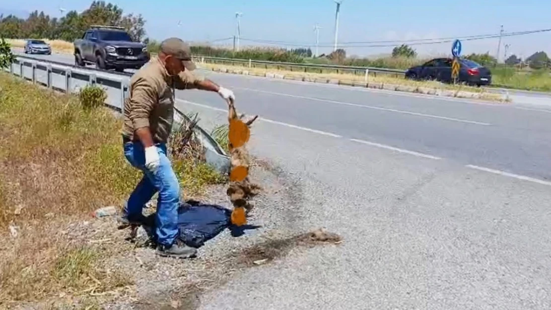 Başkan Sürücü: 'Çok nadir ve önemli bir türü daha kaybettik'