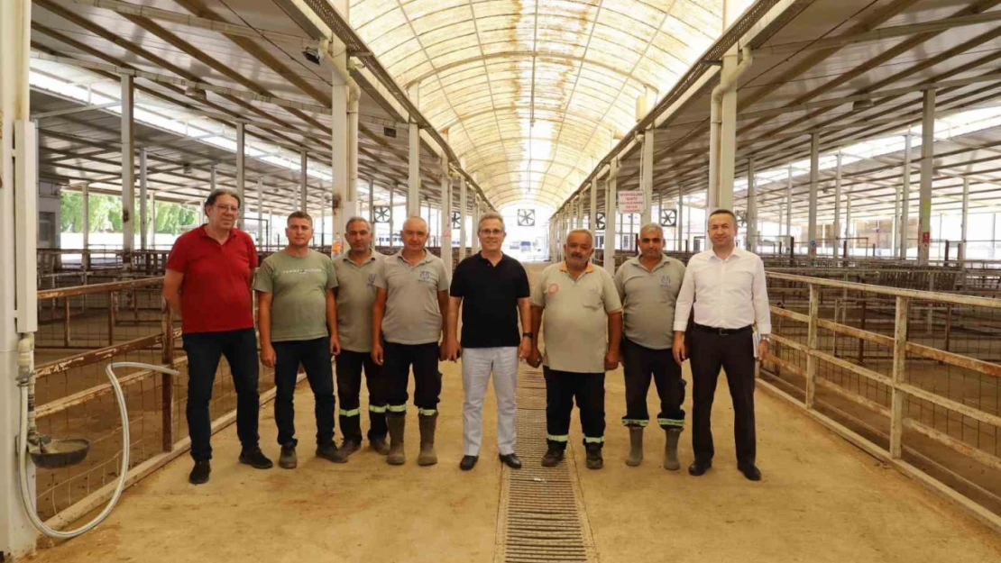 Başkan Tetik, Nazilli'de devam eden çalışmaları yerinde inceledi