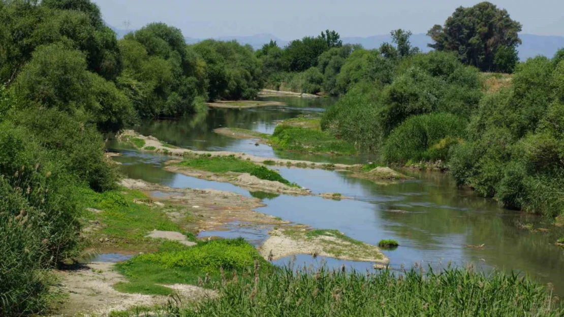 Batı Anadolu'nun en büyük nehri suya hasret kaldı