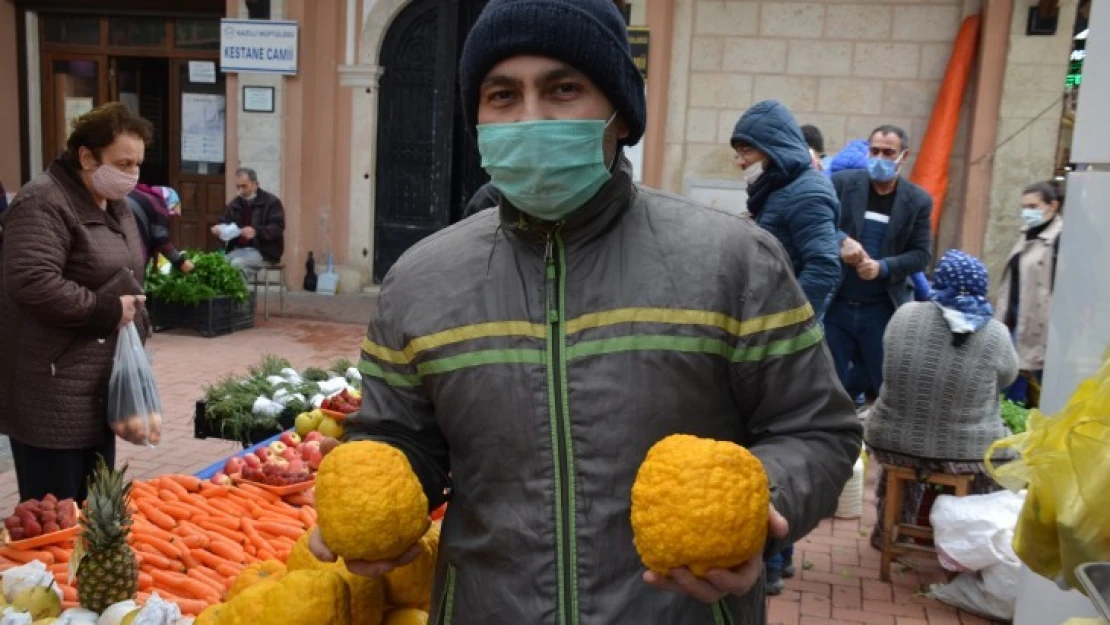 Bergamot, ilgi kaynağı oldu