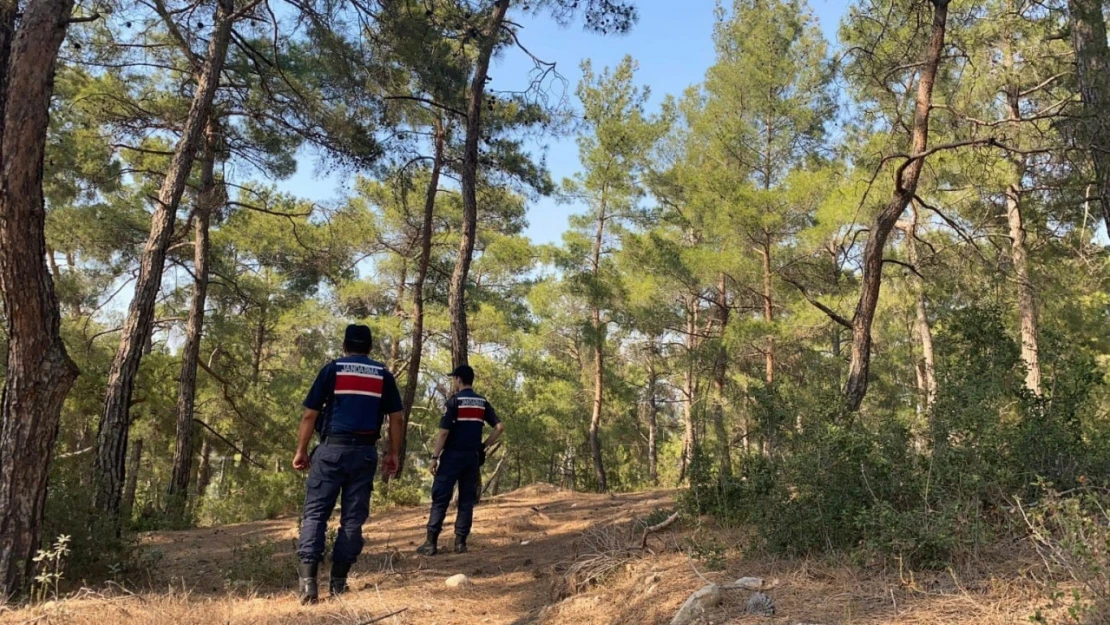 Bozdoğan'da 'orman yangını' devriyesi