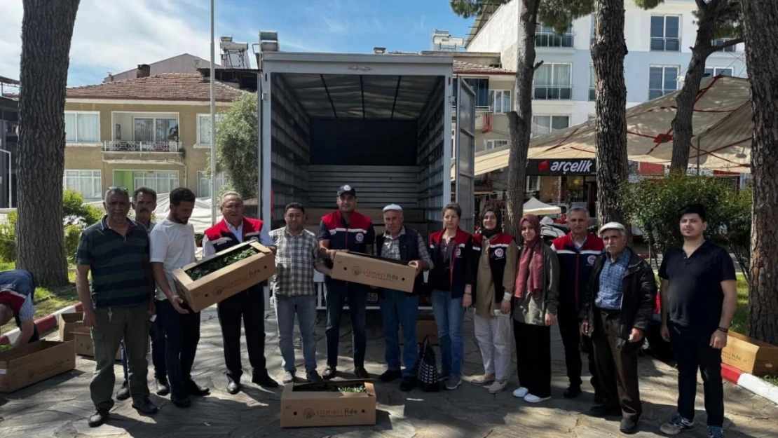 Bozdoğan'da 60 bin turşuluk biber fidesi dağıtıldı