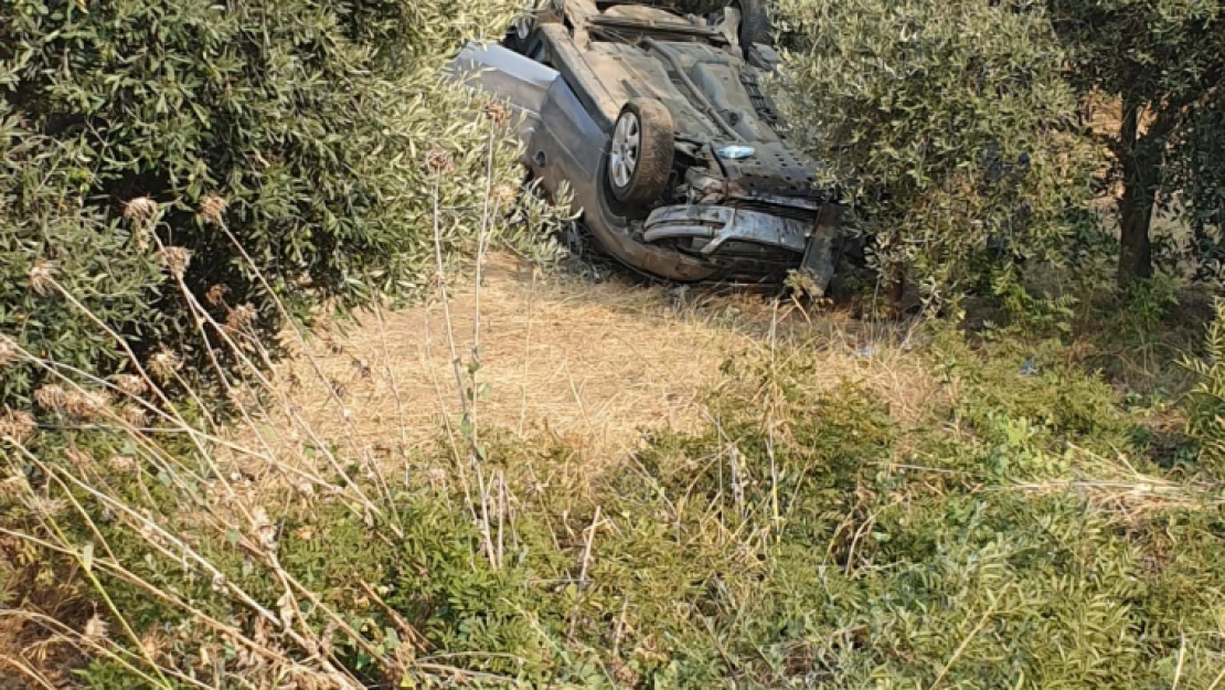 Bozdoğan'da direksiyon hakimiyetini kaybeden sürücü tarlaya uçtu