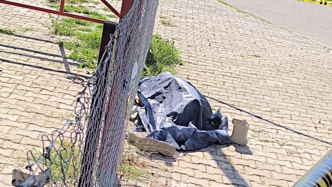 Bozdoğan'da şüpheli ölüm